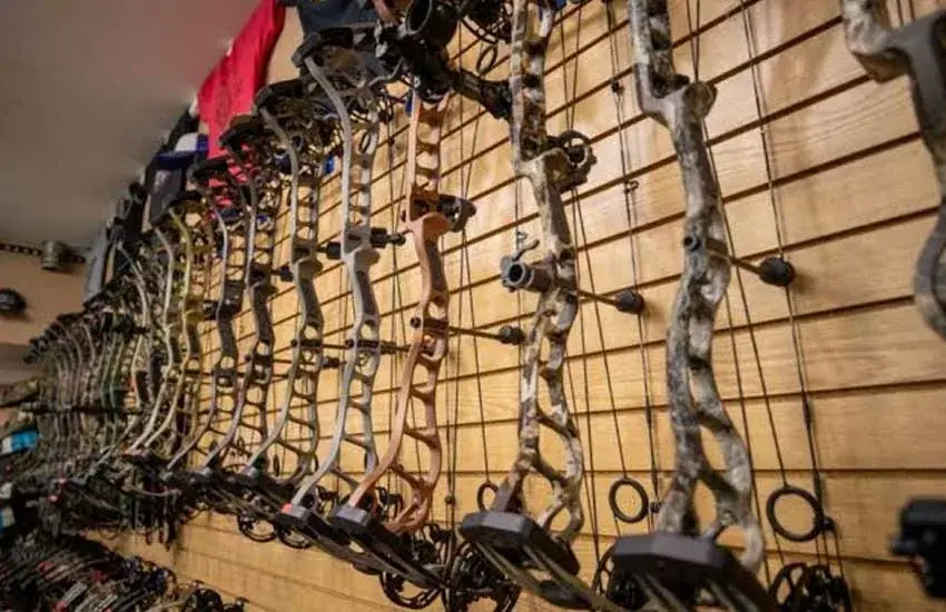 Compound bows wall display at Twin Cities Gun & Pawn Twin Cities, MN